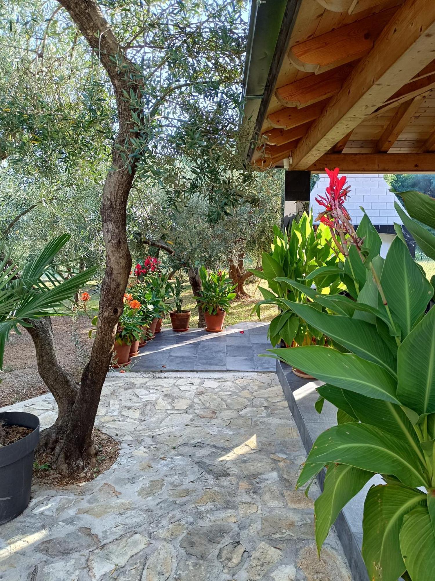 Apartamento Olive Garden