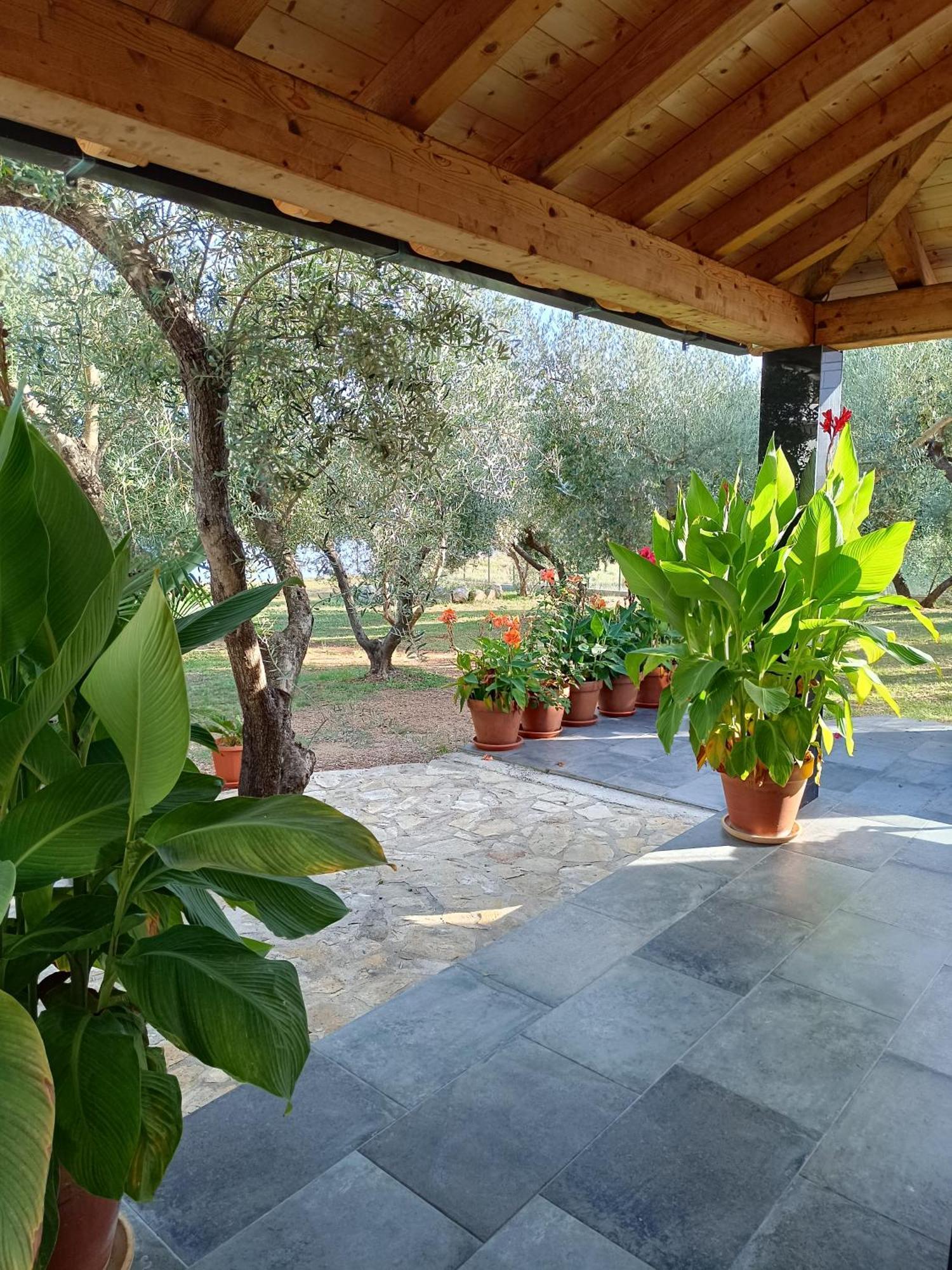 Apartment Olive Garden Molunat