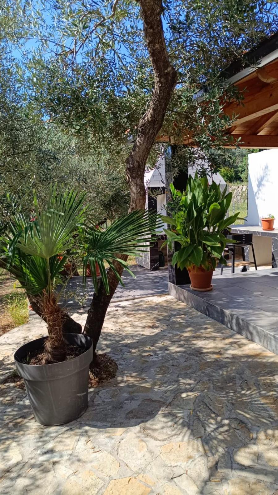 Olive Garden Apartamento Molunat