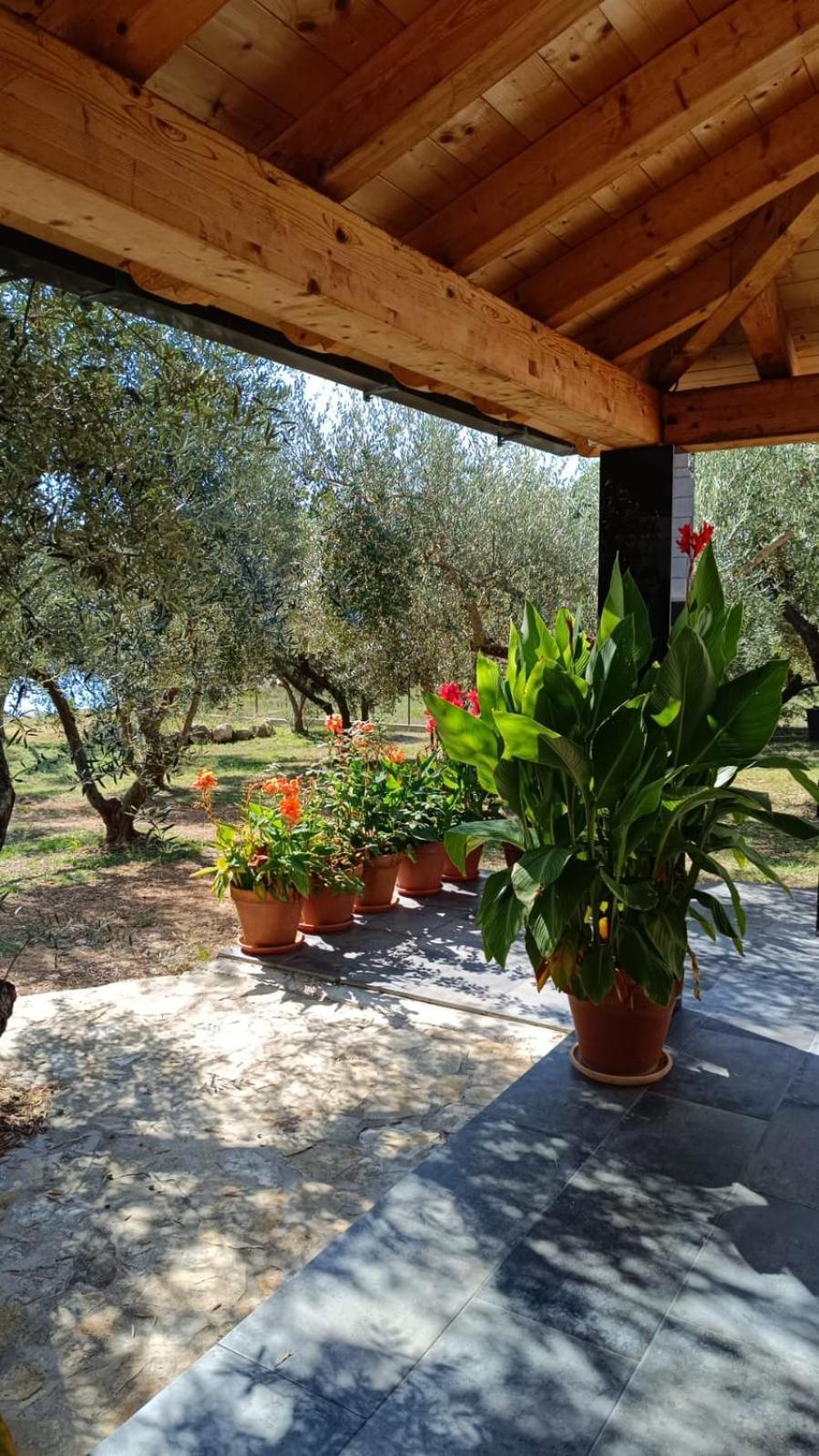 Apartamento Olive Garden