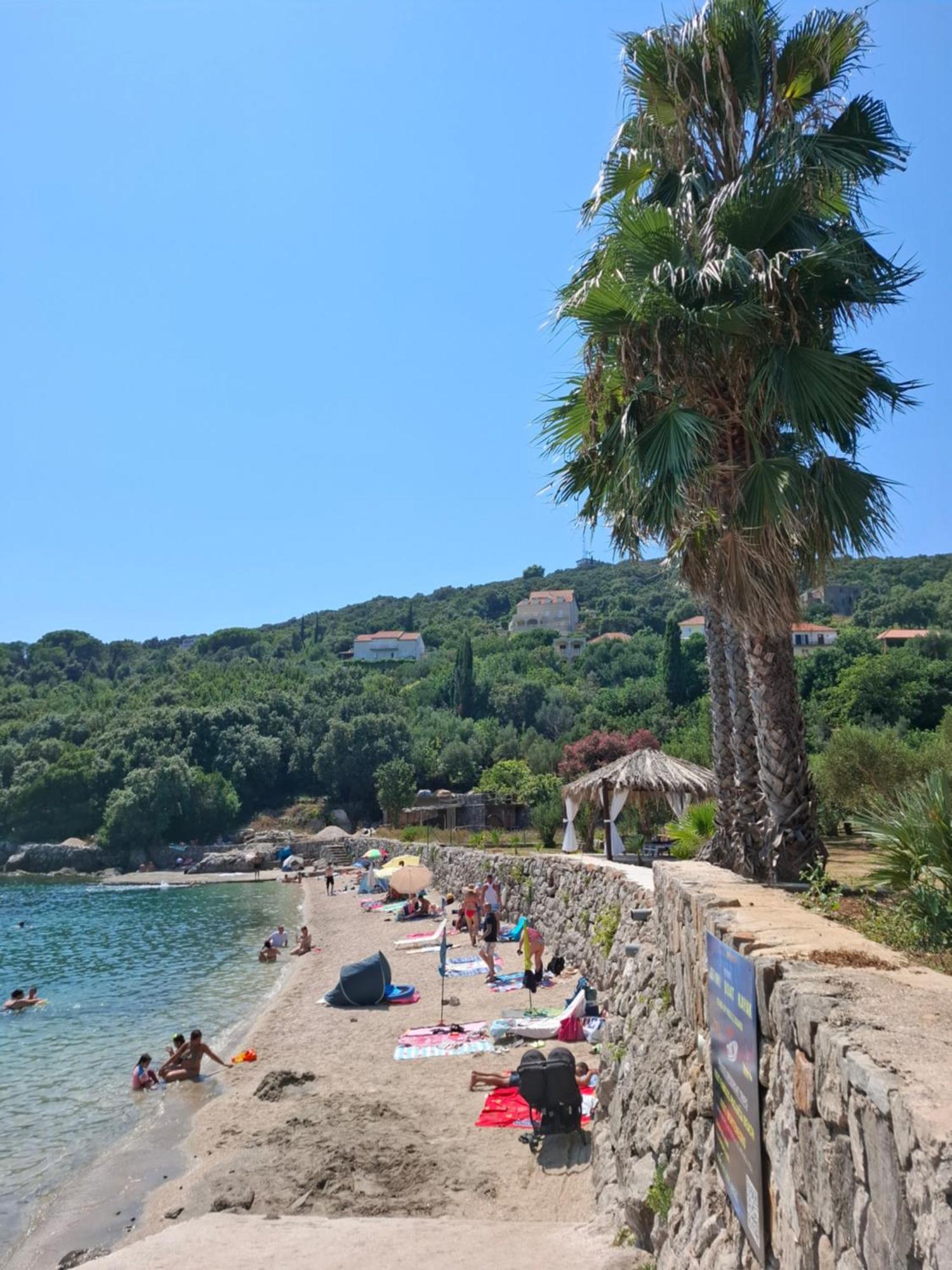 Apartment Olive Garden Molunat