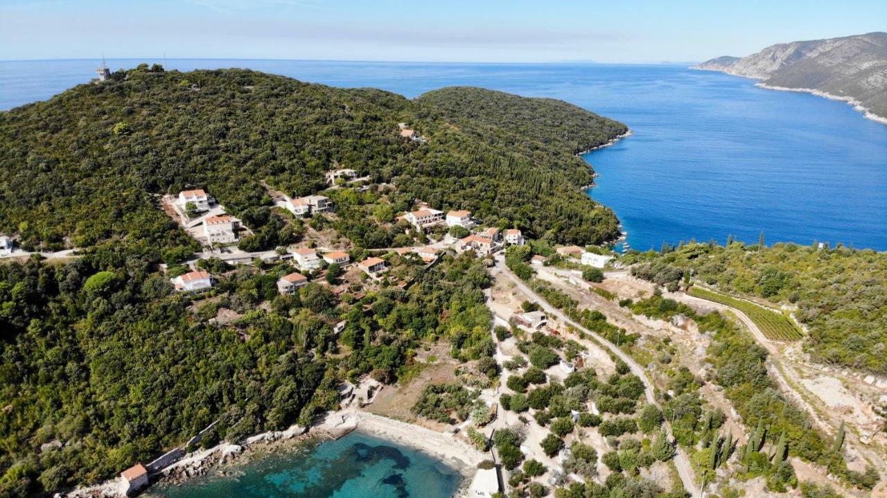 Apartment Olive Garden Molunat